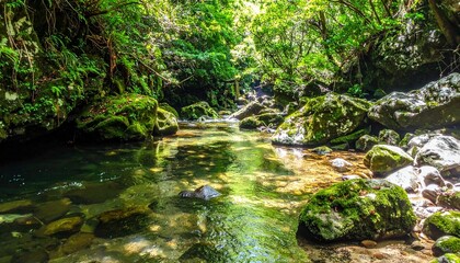 光の降り注ぐ苔むす清流渓谷