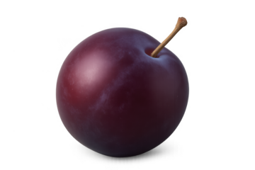 Ripe purple plum with stem on transparent background