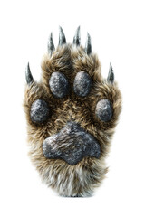 Fototapeta premium Furry werewolf paw with sharp claws is perfect for Halloween decorations or costumes. realistic texture and detail add spooky touch to any festive setup
