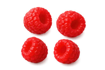 Four fresh raspberries rotating on transparent background