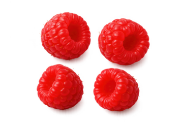 Four fresh raspberries rotating on transparent background