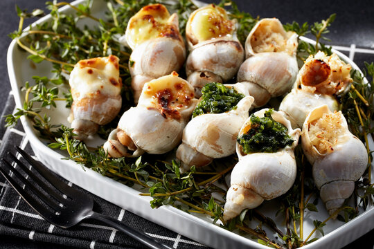 Closeup of grilled conch combination on dark table background