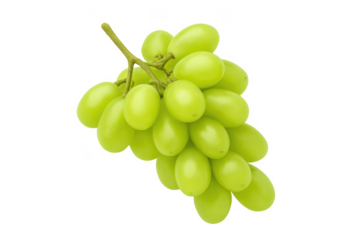 Bunch of fresh green grapes hanging on transparent background