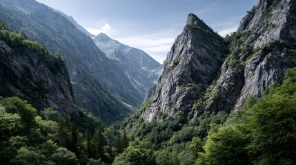 Mountain valley with lush forests and rocky peaks.