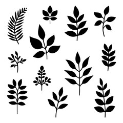 Collection of Black and White Sketch Doodle Style Leaf and Flower Illustrations for Nature Design and Decoration