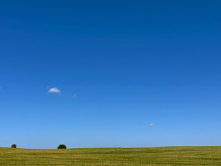 green field and sky