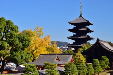 秋空に映える東寺 五重の塔