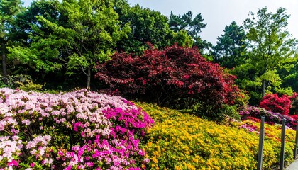 Obraz premium Vibrant flower garden hillside
