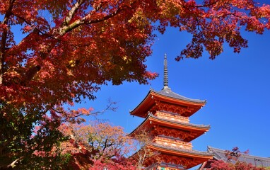 京都の秋　紅葉の清水寺