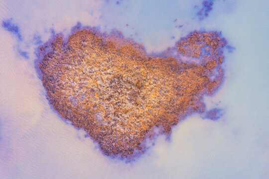 Naklejki Aerial Heart-Shaped Seaweed Formation on Icelandic Coast