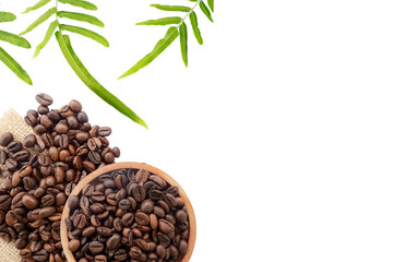 coffee beans and green leaves