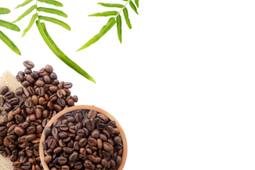 coffee beans and green leaves