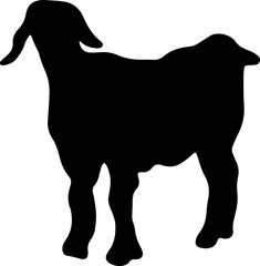  Animal Black Goat