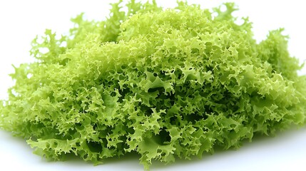 Obraz premium Fresh lettuce leaves layered naturally on white background captured with mirrorless camera and 50mm lens, focus on crisp texture and vibrant green layers arranged organically on clean seamless