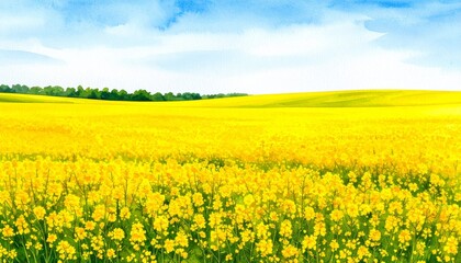Obraz premium A beautiful impressionistic oil painting of a vast sun drenched field of bright yellow wildflowers blooming under a serene blue summer sky.