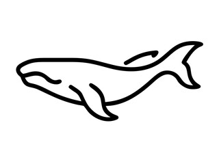 Obraz premium A simple illustration of a whale. Black and white. Vector. Lines.