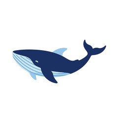 Fototapeta premium A stylized illustration of a large blue whale swimming, featuring a dark blue body, light blue underbelly, and a curved tail fluke.