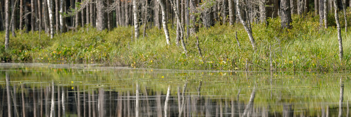 Serene lake with clear reflections of trees and greenery in a peaceful forest. Perfect for nature lovers, tranquil scenes, and outdoor relaxation.