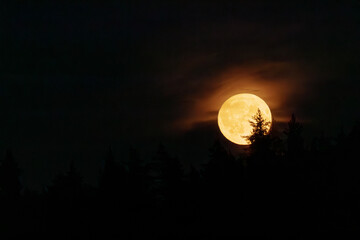 A stunning full moon glows brightly against a dark night sky, partially veiled by thin clouds....
