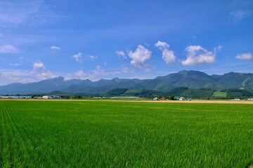 中富良野・畑と山々（北海道・中富良野町）