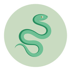 Fototapeta premium Green cartoon snake vector illustration cute reptile drawing symbol icon