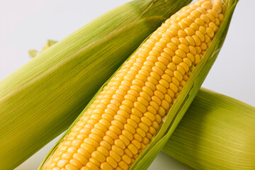 北海道産スイートコーン(とうもろこし)　Hokkaido Sweet Corn