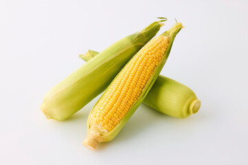 北海道産スイートコーン(とうもろこし)　Hokkaido Sweet Corn