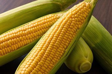 北海道産スイートコーン(とうもろこし)　Hokkaido Sweet Corn