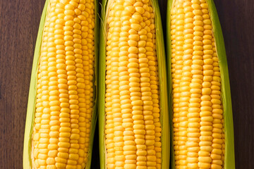 北海道産スイートコーン(とうもろこし)　Hokkaido Sweet Corn