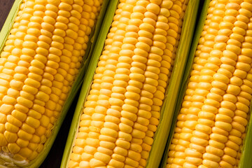 北海道産スイートコーン(とうもろこし)　Hokkaido Sweet Corn