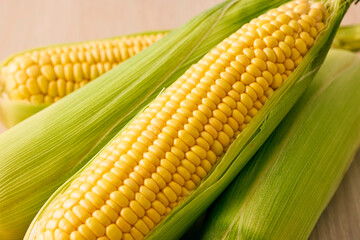 北海道産スイートコーン(とうもろこし)　Hokkaido Sweet Corn