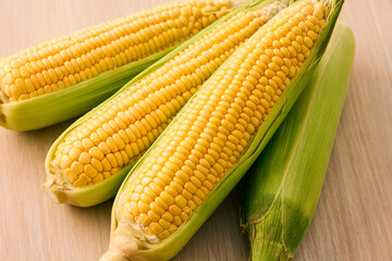 北海道産スイートコーン(とうもろこし)　Hokkaido Sweet Corn