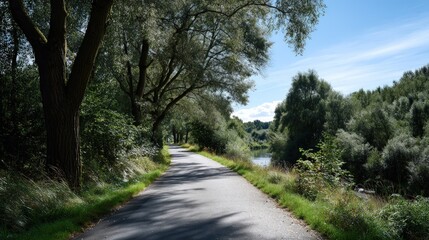Fototapeta premium A paved path winds through a shaded woodland beside a river.