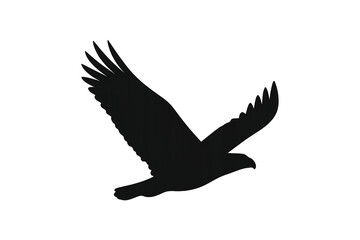 Majestic eagle silhouette soaring powerfully through the sky with outstretched wings