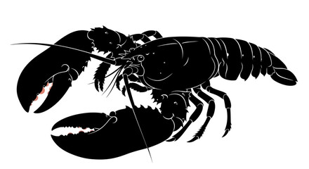 Detailed Lobster Silhouette Side View on Isolated White Background