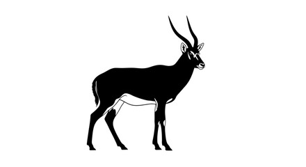 Elegant black silhouette of a gazelle standing on an isolated white background.