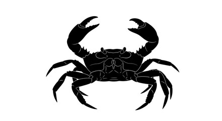 Silhouette of a marine crab walking, ocean seafood animal, isolated white background.