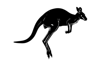 Majestic kangaroo silhouette jumping on isolated white background