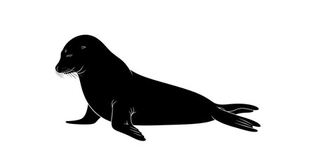 Silhouette of a cute seal lying down, isolated black and white marine animal.