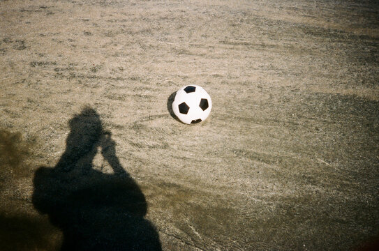 Fototapeta Me ant the ball
