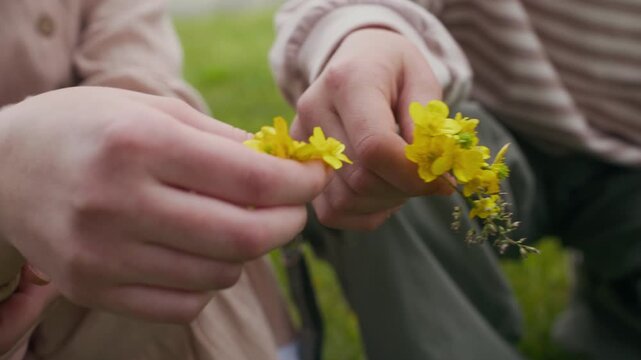 Hands of two youthful unrecognizable friendly girls sitting on squats in front of camera and holding small yellow buttercups or paigles picked on lawn in park