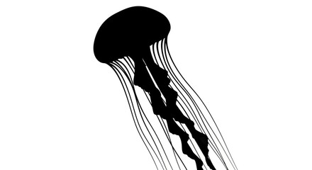 Mysterious Jellyfish Silhouette Floating in Water on Isolated White Background