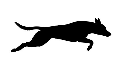 Energetic Dog Silhouette Running or Leaping, Playful Animal in Motion on Isolated White Background