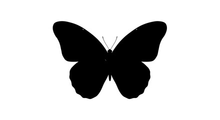 Black Butterfly Silhouette Isolated White Background, Simple Butterfly Icon