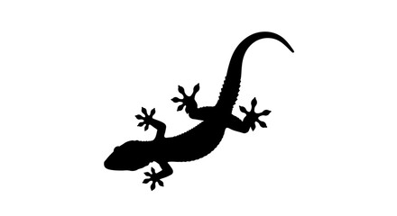 Fototapeta premium Silhouette of a gecko with its tail curved upward, showcasing its distinctive feet.