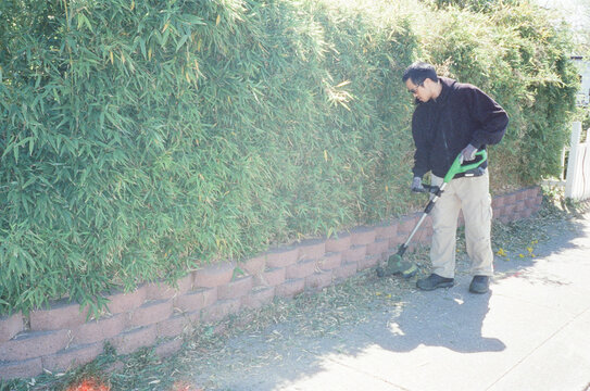 weedwacker yard work 