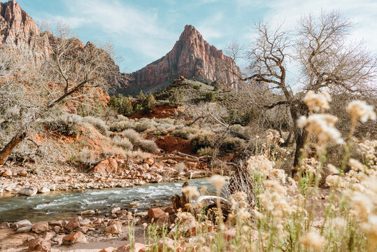 Mountain overlooking stream