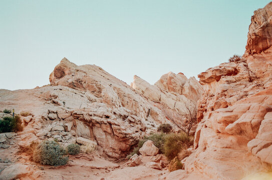 Pink rocks
