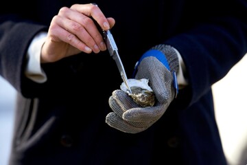 Person demonstrates oyster shucking technique 