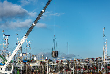 Crane unloading squid boxes at Mar del Plata fishing port